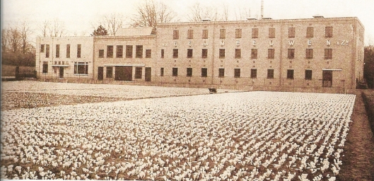 Het kantoor en bloembollenhuis van kwekerij G.C.van Meeuwen & Zonen uit omstreeks 1938, gelegen aan de Herenweg en Manpadslaan in Heemstede