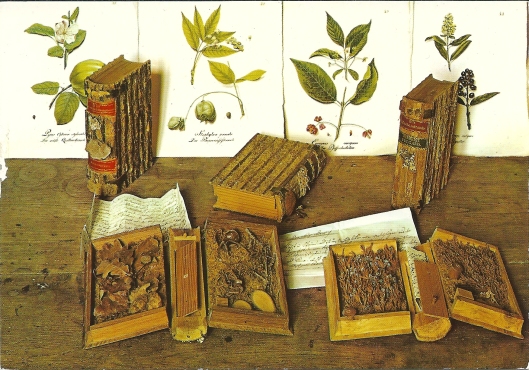 'Holzbücher' van Carl von Hinterlang on de buyrcht Guttenberg aan de Neckar.