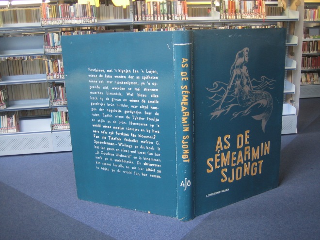 Omslag stenen boek in openbare bibliotheek Leeuwarden